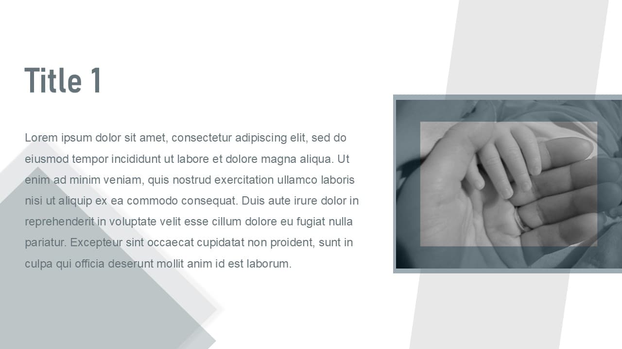 Demographics theme - view 2